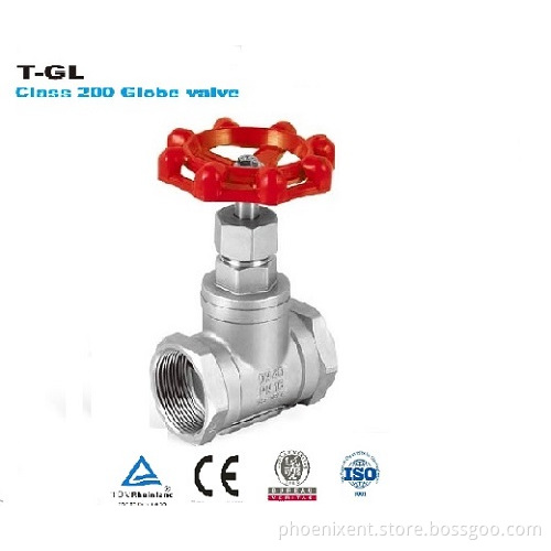 Globe Valve